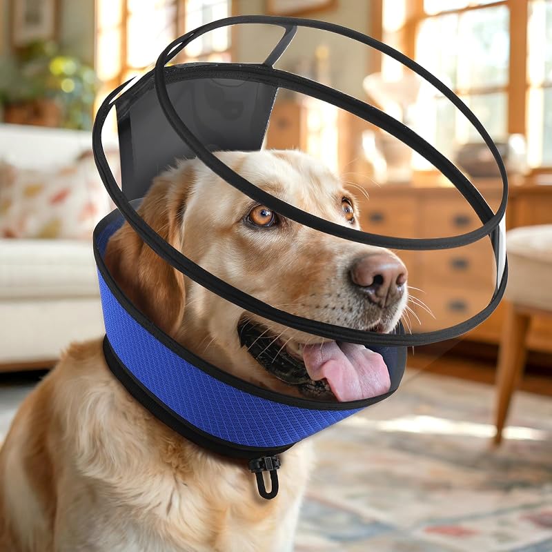 Colar elizabetano ajustável para cães com PVC transparente e design dobrável BONTHEE Azul tamanho L
