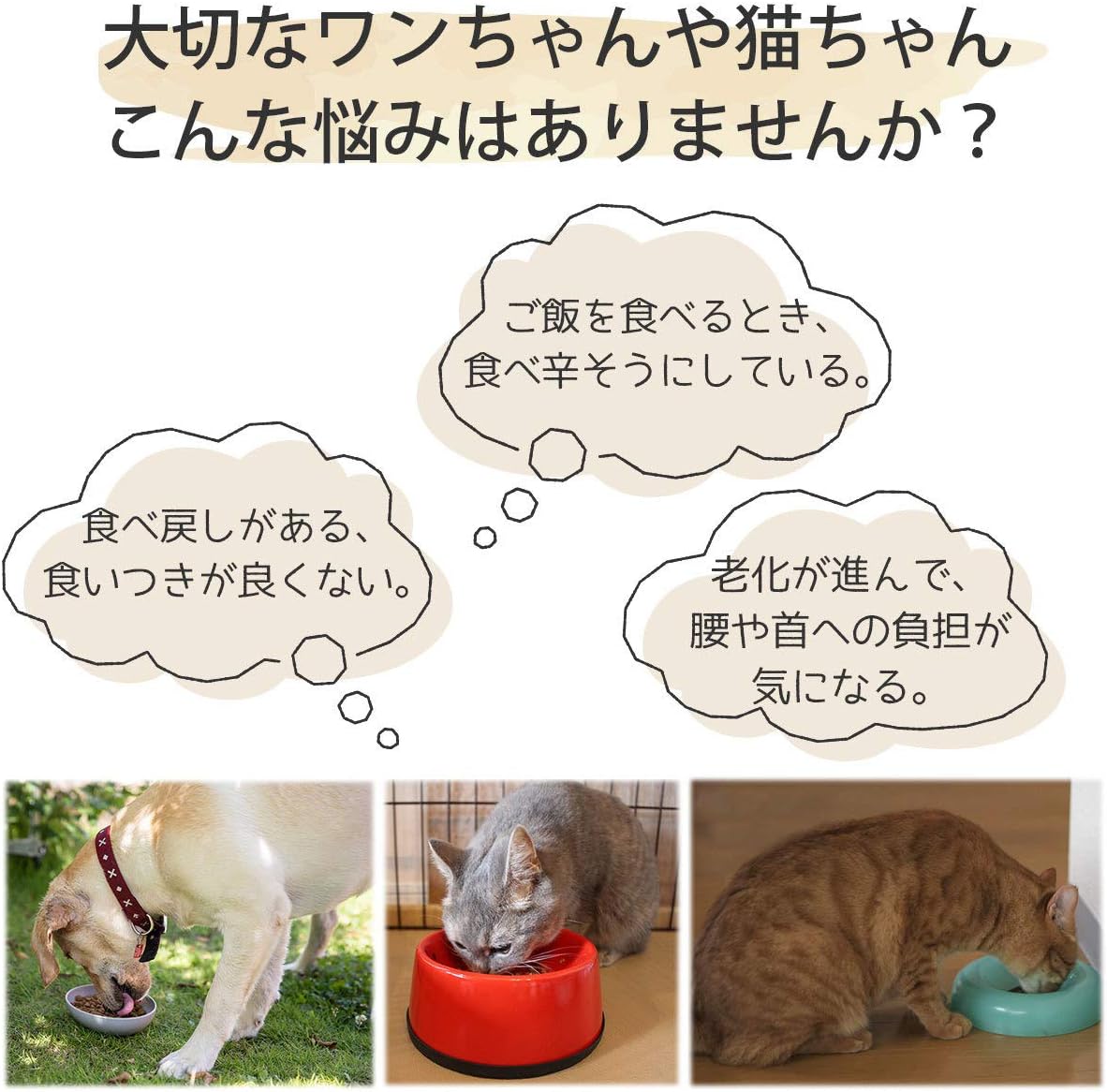 高速配送 クーラーボード Lサイズ ブラウン ペット 犬 イヌ 食器 Oft 国際ブランド Ihmc21 Com