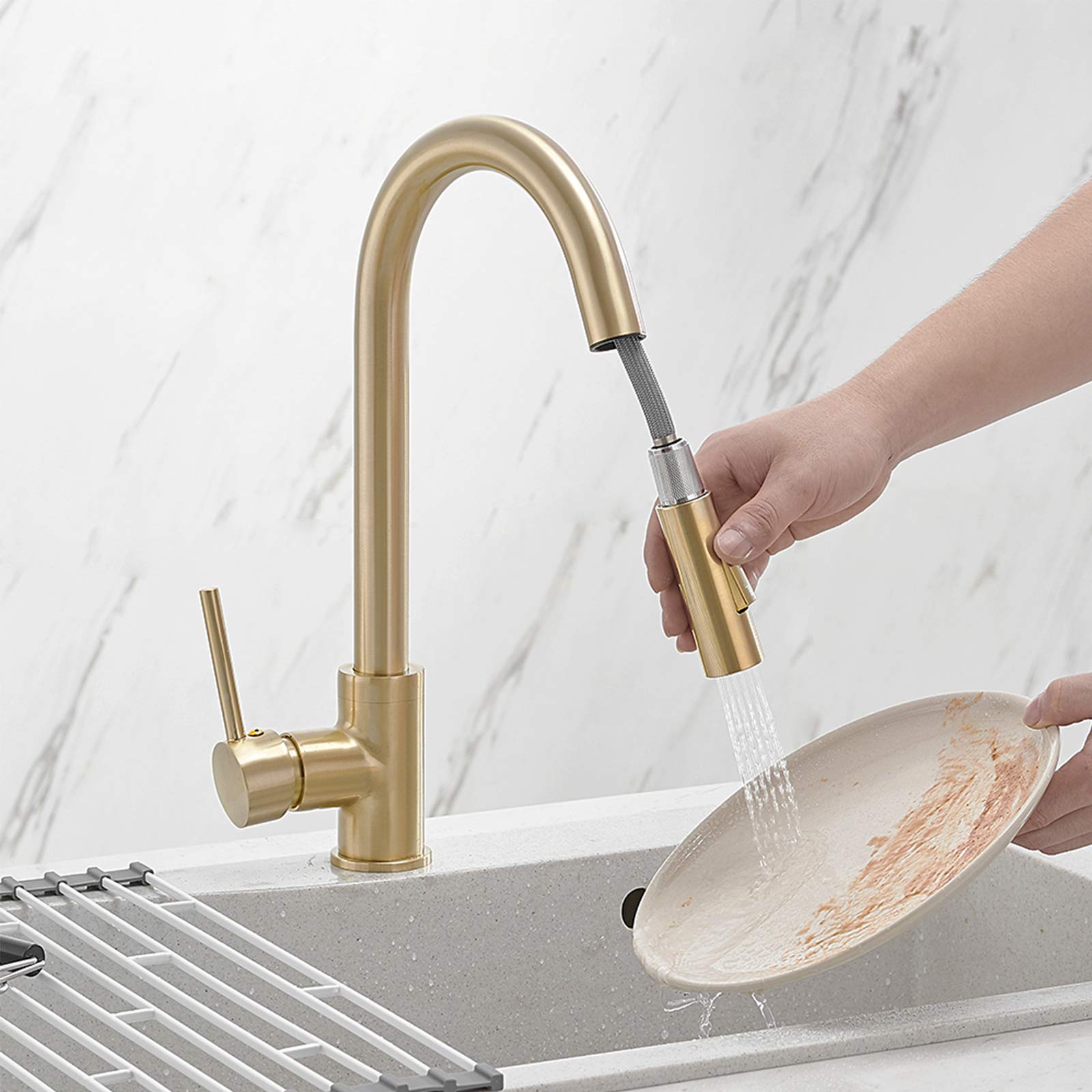 BESy Gold Single Handle Kitchen Sink Faucet with Pull Out Sprayer,Rv