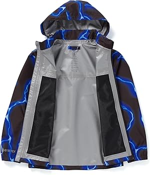 Amazon.com: Volcom Men's Featured Artist Travis Spinks Gore Tex