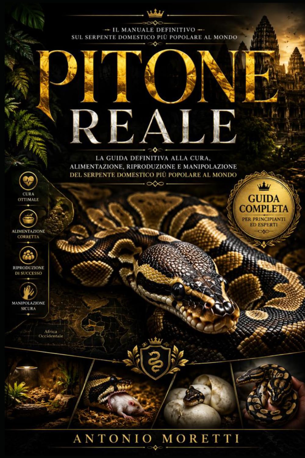 PITONE REALE: La guida definitiva alla cura, alimentazione, riproduzione e manipolazione del serpente domestico più popolare al mondo