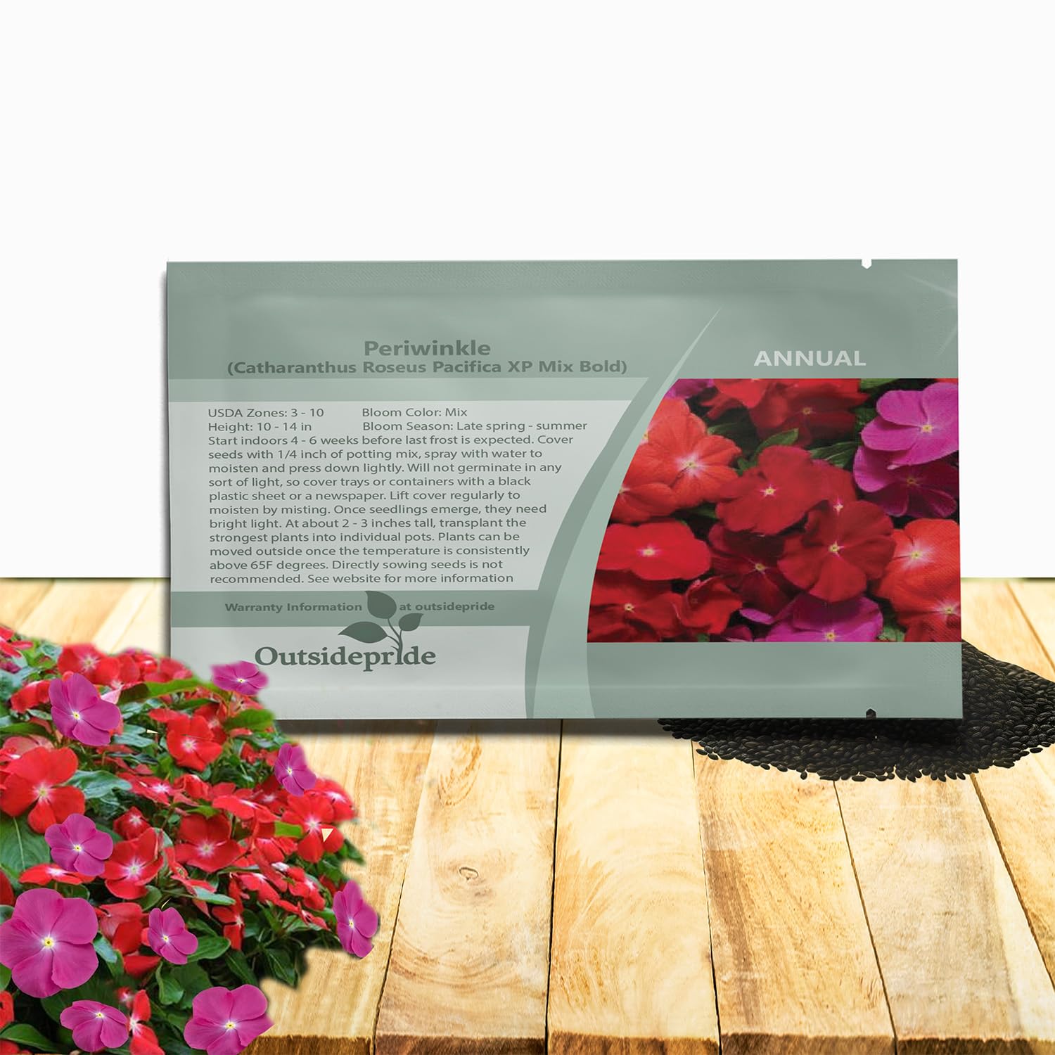 Amazon.com : Outsidepride Pacifica XP Bold Mix Periwinkle Seeds
