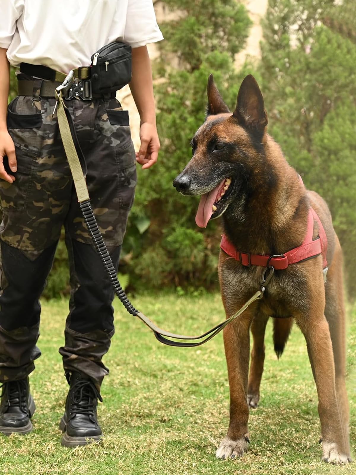 Correa para perro manos libres con bolsa con cremallera y cinturón de cintura, correa elástica reflectante duradera con asas acolchadas dobles para caminar, trotar y correr, se adapta a perros