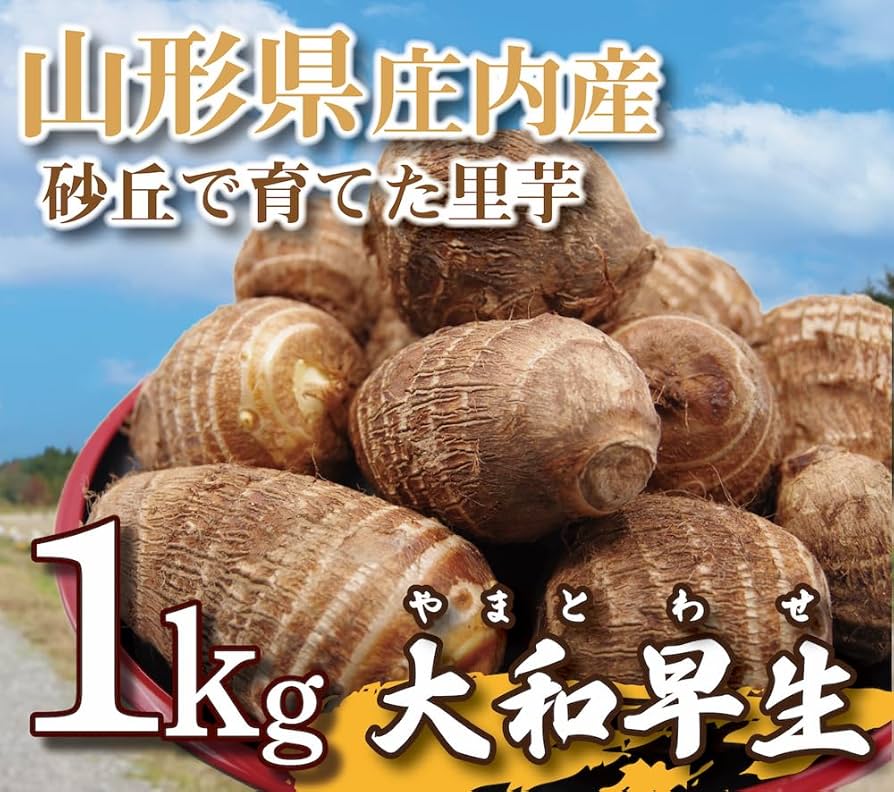 送料無料✨山形県産美味しい初掘り里芋10㎏入り 送料無料✨山形県産美味しい初掘り里芋10㎏入り 楽天市場】里芋