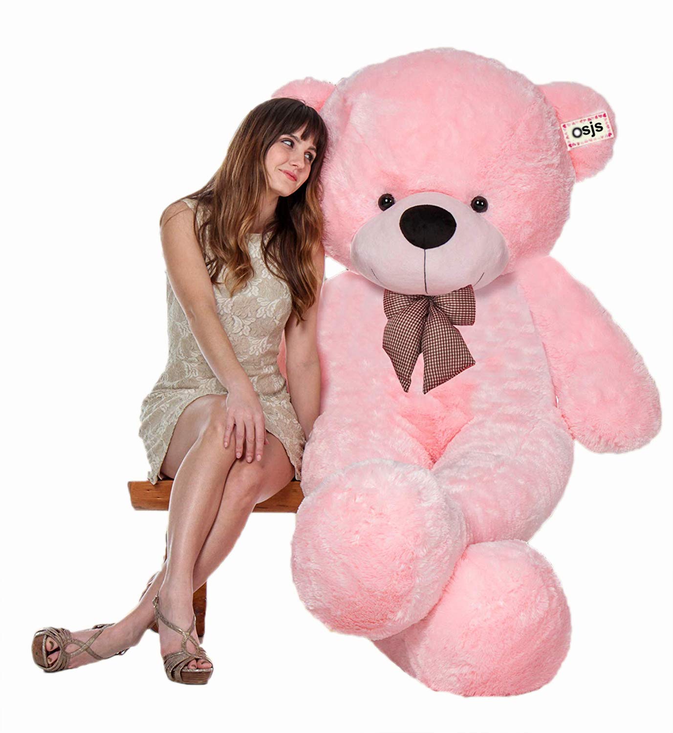 NP 4 Feet Huggable Teddy Bear with Neck Bow Pink (120cm) (B07ZMCPHRY) Amazon Price History, Amazon Price Tracker