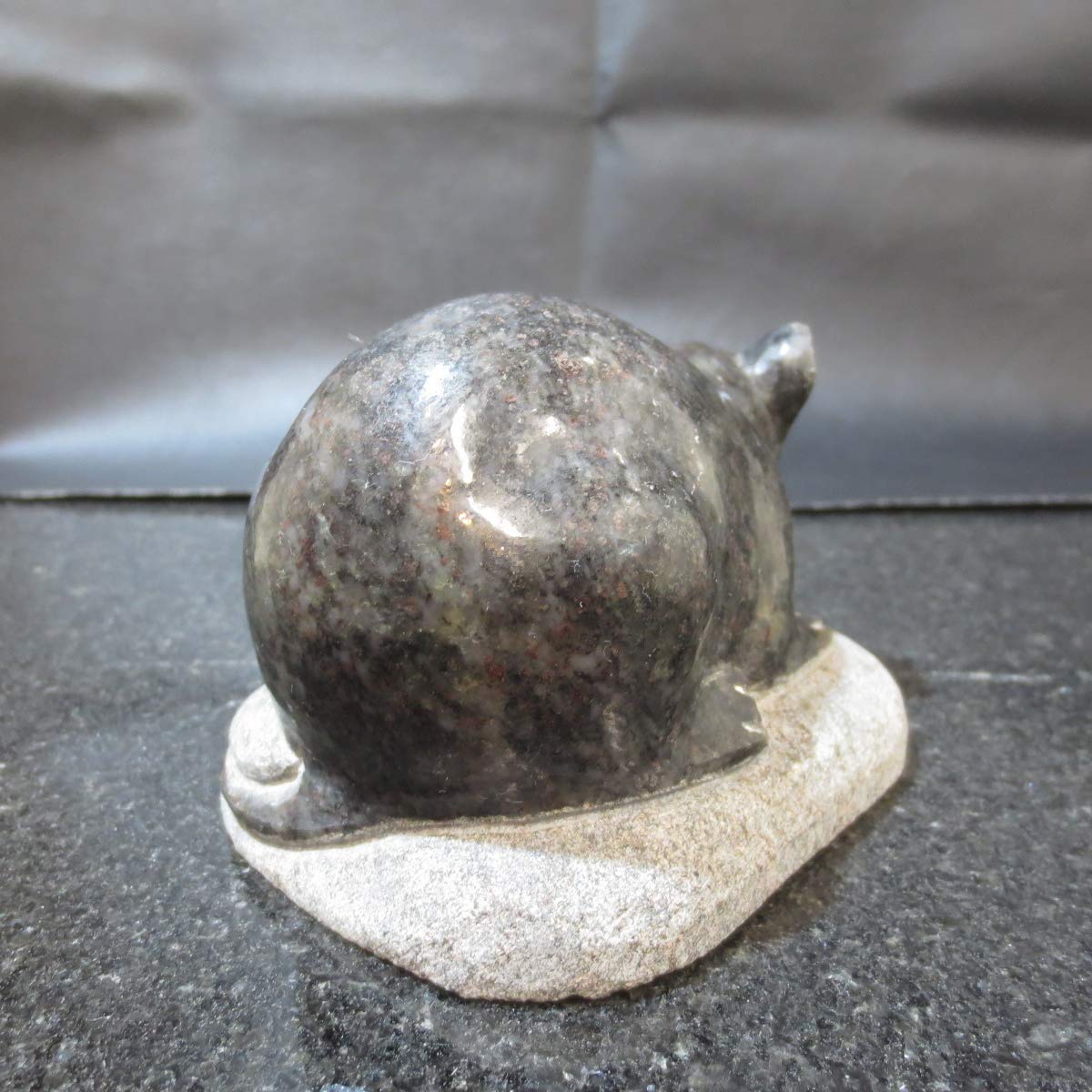 イタチザメ　標本 Amazon.co.jp: Mouse Mouse Zodiac Mouse Figurine Sculpture