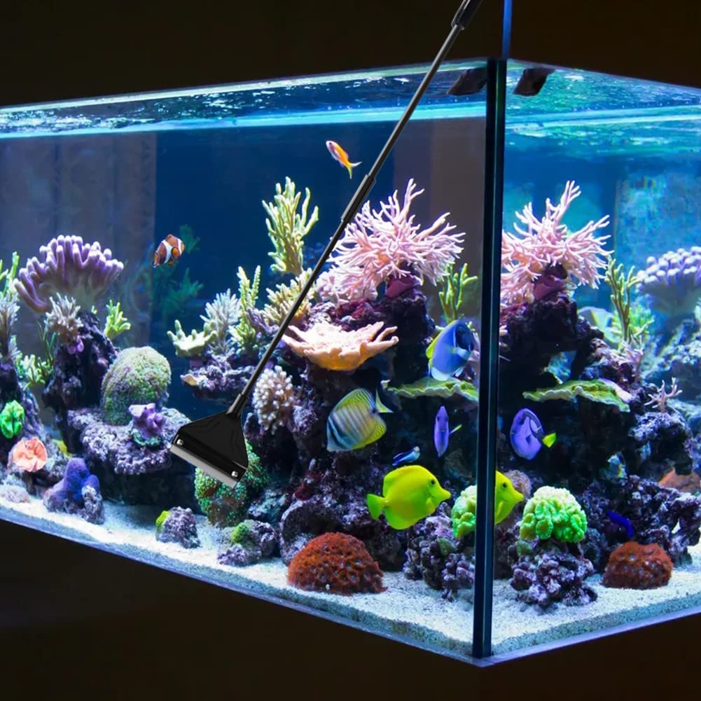 Algues Grattoir, Nettoyeur de Grattoir Algues, Aquarium Scraper, Racloir pour Aquarium Nettoyeurs d'Algues, Rasoir de Nettoyage Aquarium, Algues Grattoir pour Aquarium (62 cm, 10 Lames de Rechange)