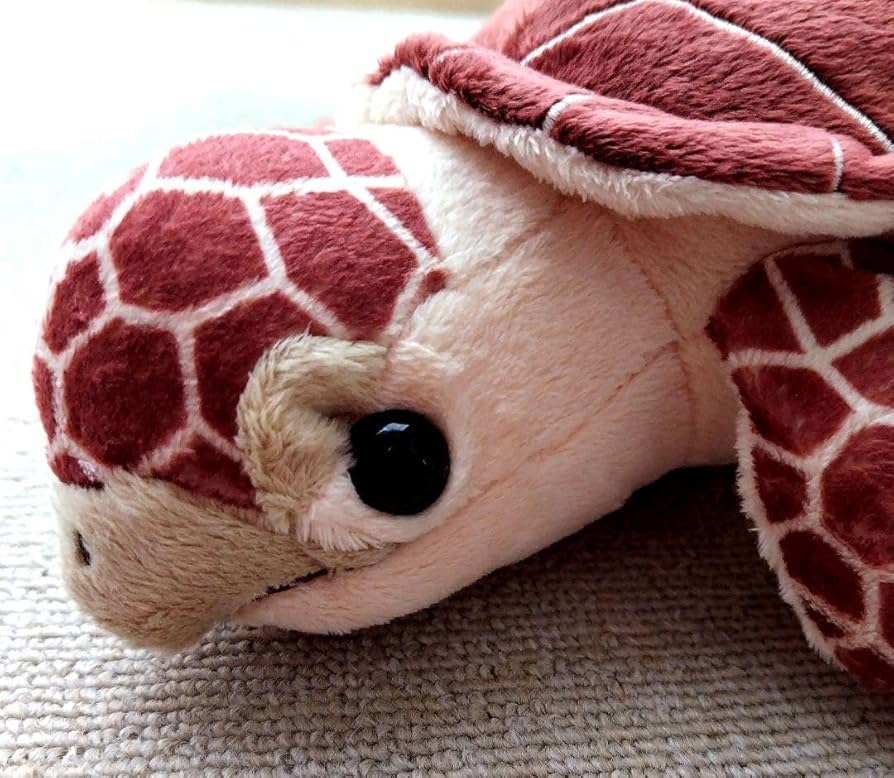 アカウミガメ　ぬいぐるみ 61Bg9ZW9aKL._AC_UL210_SR210,