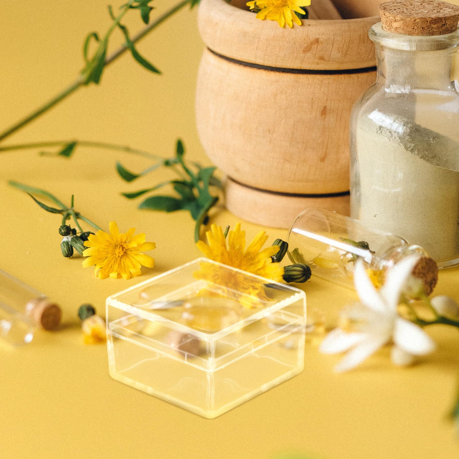 BESTYASH 5 Set Contenitori Per La Conservazione Dei Campioni Contenitore Del Campione Storage Box Vetrine Trasparenti Contenitore Espositivo Plastica 10 Pezzi * 5