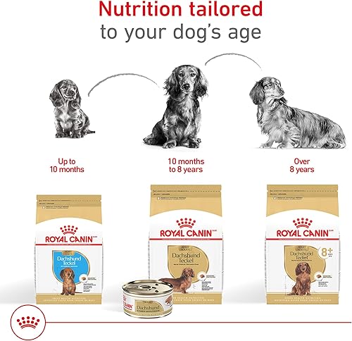Miniatura 8 de Royal Canin Breed Health Nutrition - Alimento seco para perros perro salchicha 25 libras