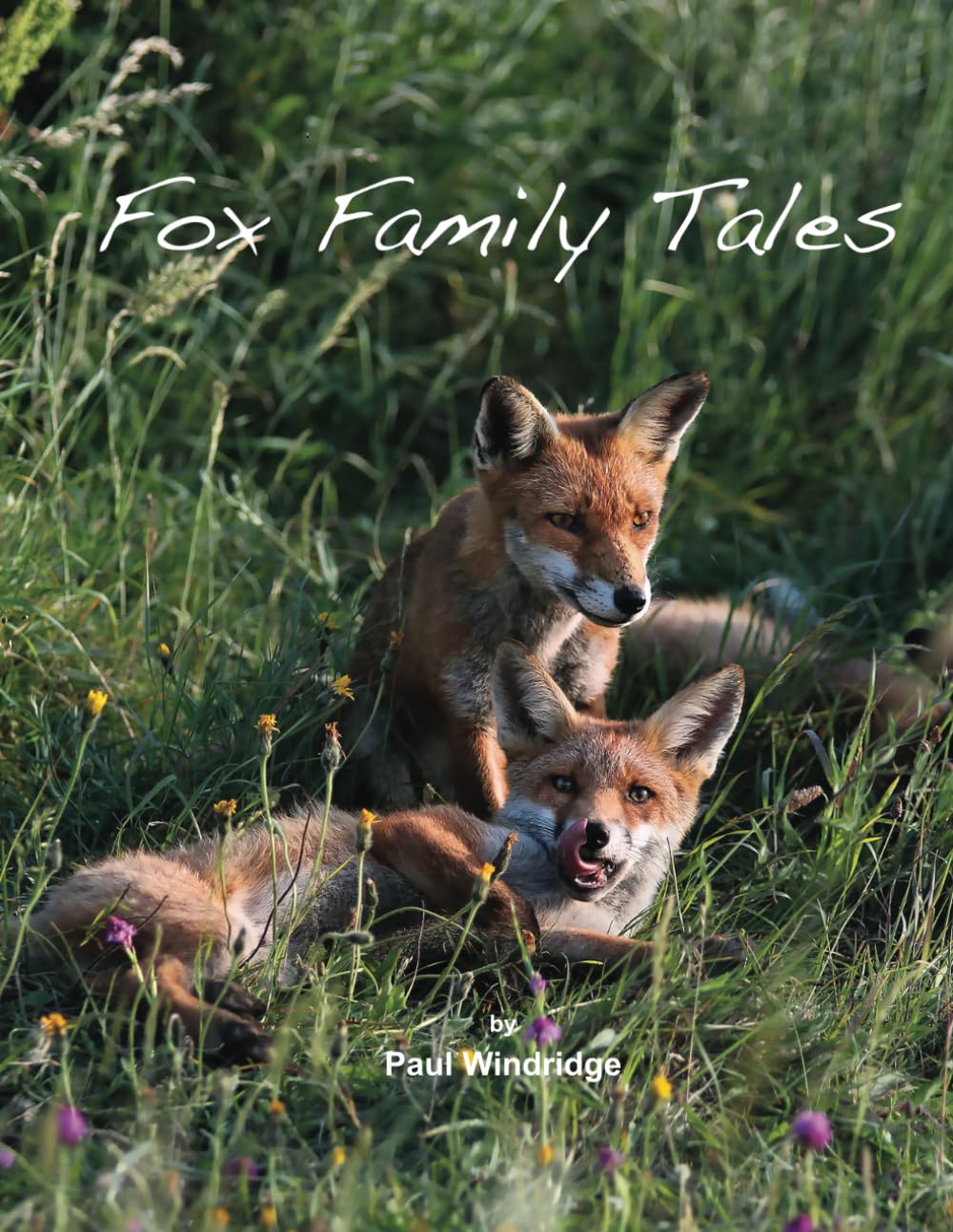 Fox Family Tales (Fox Tales)