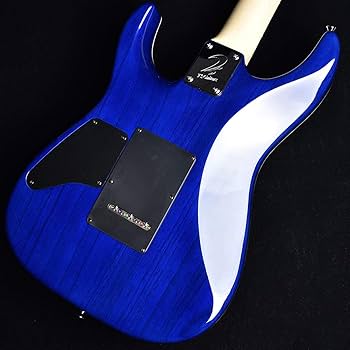 Amazon | T's Guitars DST-Pro24 5A Quilt Top Arctic Blue S/N