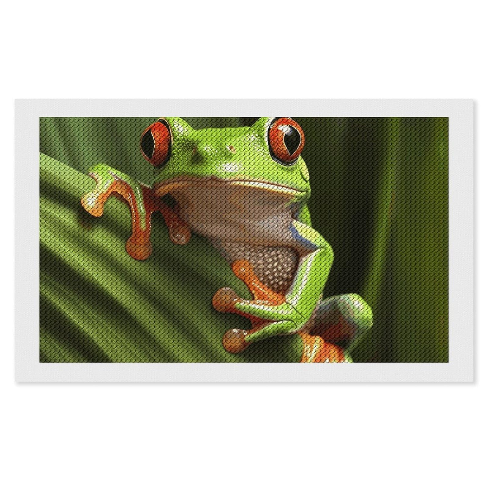 NONHAI Diamond Painting Kits for Adults - DIY Diamond Art Kits for Beginners - Full 5D Paint Drill Diamond Dots Paintings- Tree Frog Diamonds Pictures Gem Art and Craft Wall Decor 12"x20"