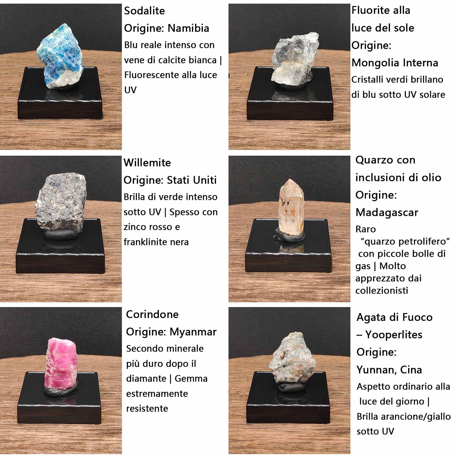 Fluorescent Mineral Specimens Set – 12 Natural UV Reactive Rocks with UV Torch and Display Stand, Geology Rock Collection for Stem Science Study, Educational Gift for Students & Collectors