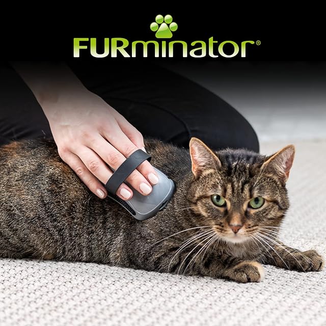 Foto 8 de 8 de FURminator CurryComb Peine para perros y gatos