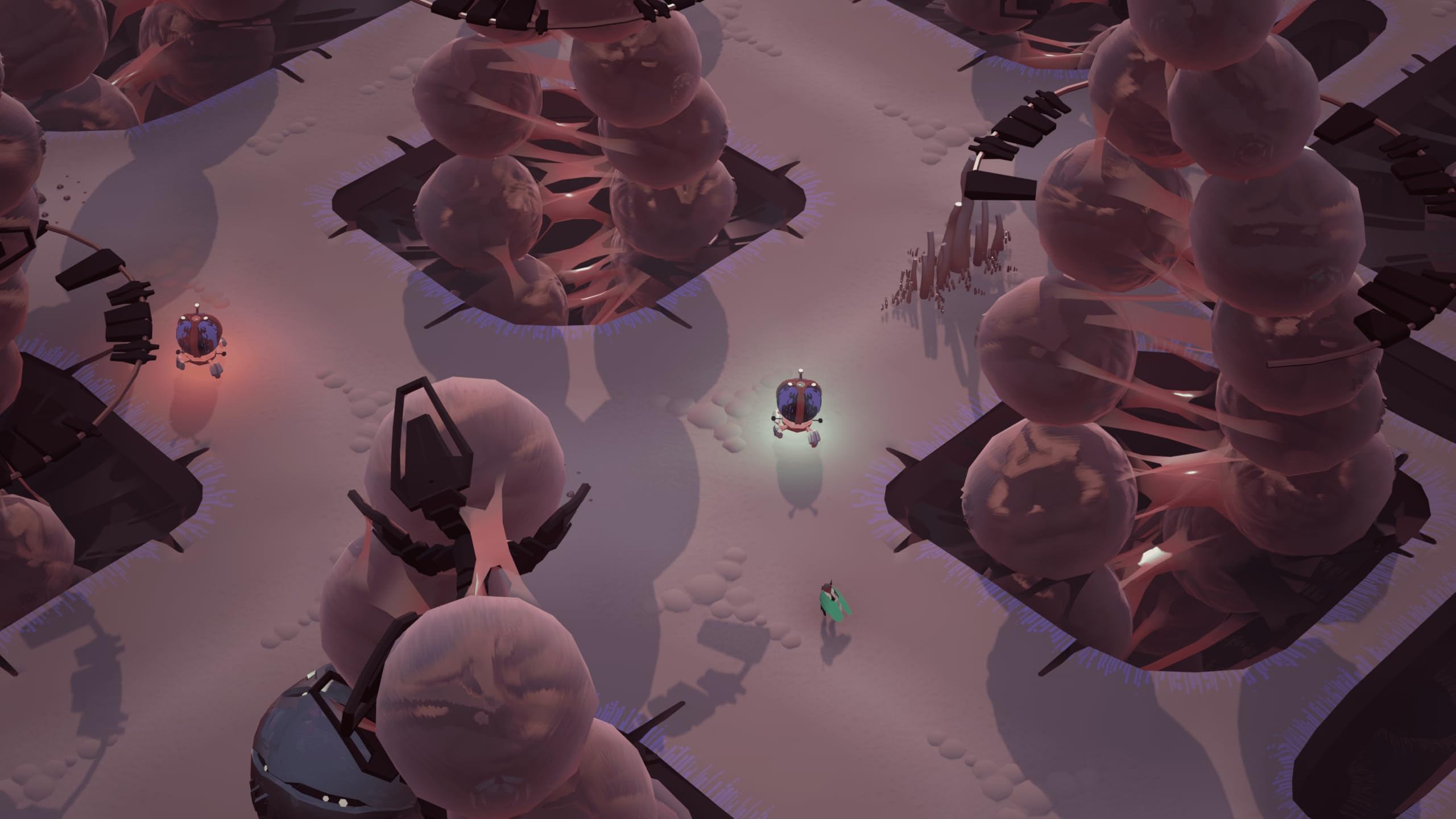 Amazon.co.jp: COCOON DELUXE EDITION -Switch 【特典】通常版(表裏