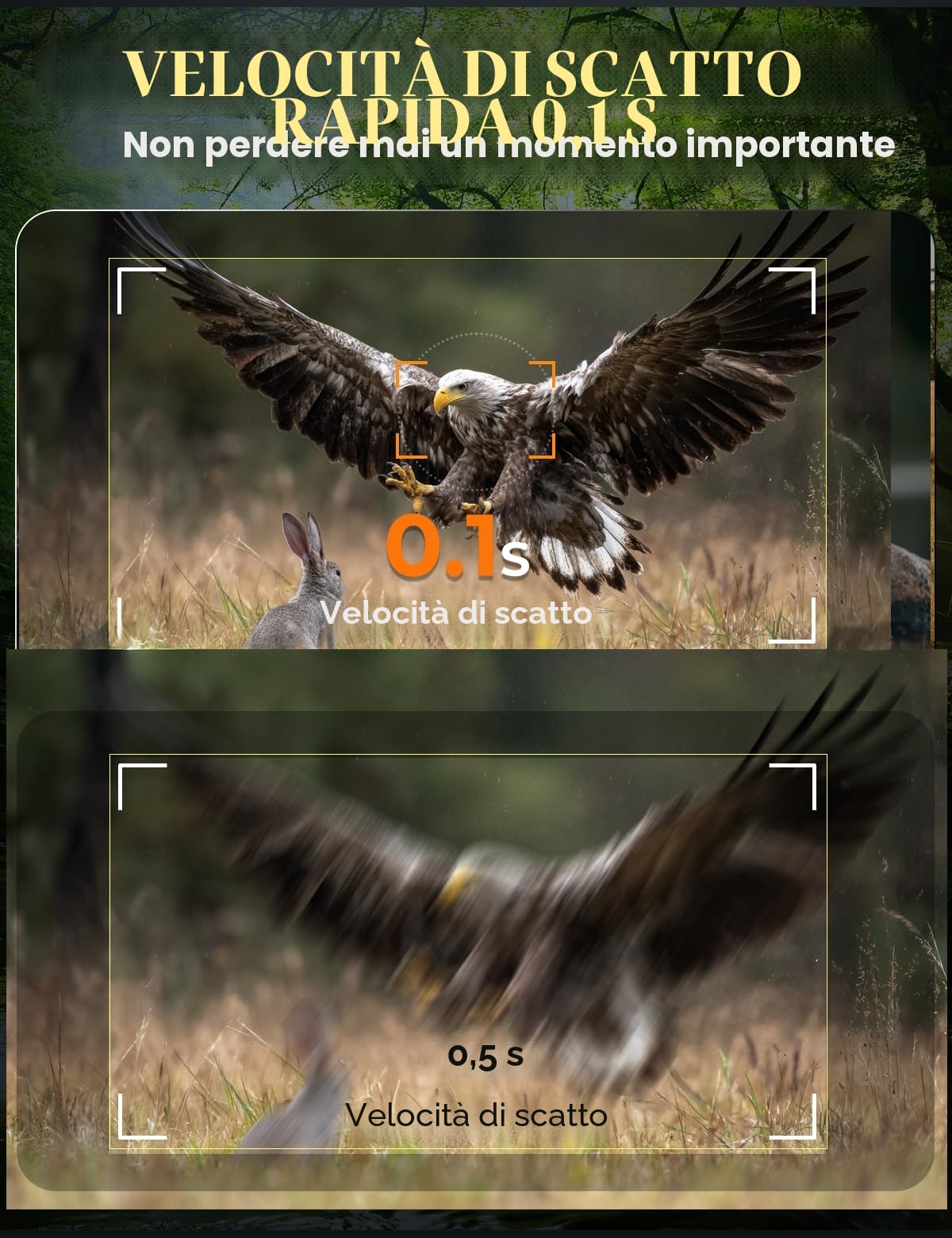 Fototrappola 4K 60MP Infrarossi Invisibili 130° IP66 940nm IR LED 32GB