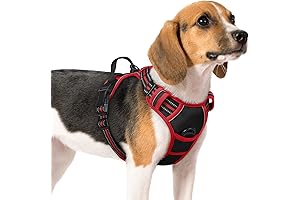 Rabbitgoo Dog Harness, No-Pull Pet Harness for Large Dogs