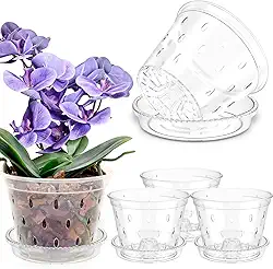 Vaso de orquídea de 5 peças para replantar, vasos de orquídeas transparentes com furos e pires, vaso de orquídea de plástico resistente, vaso de flores respirável (15 cm)