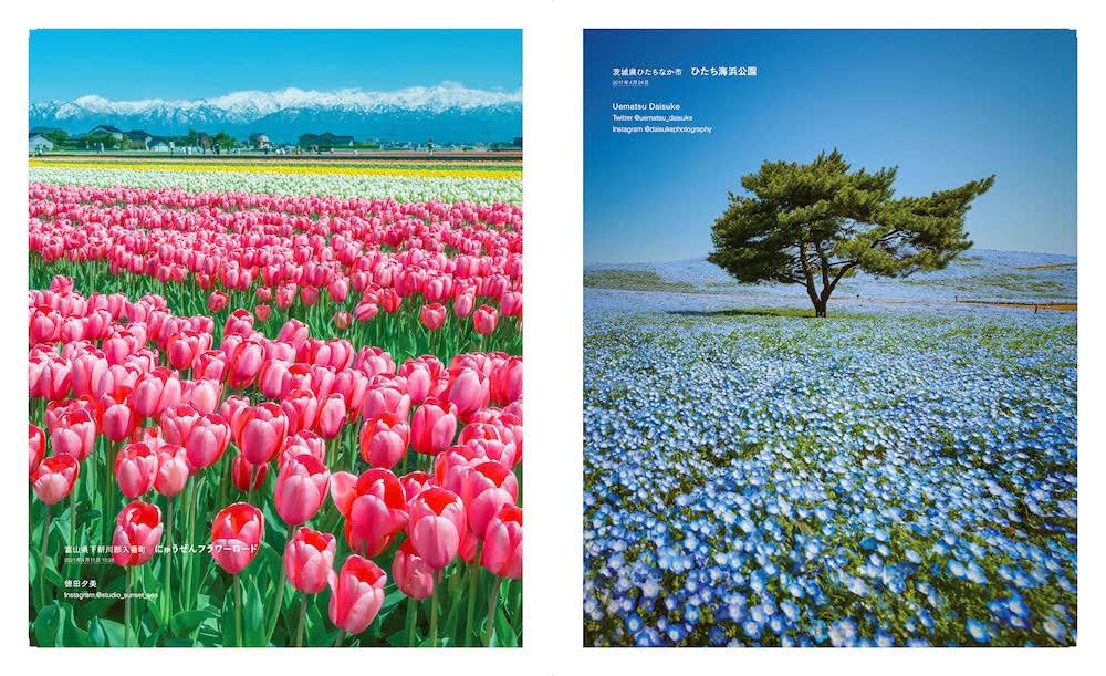 心の風景 いまいちばん心ときめく日本の絶景 : Amazon.sg: Books