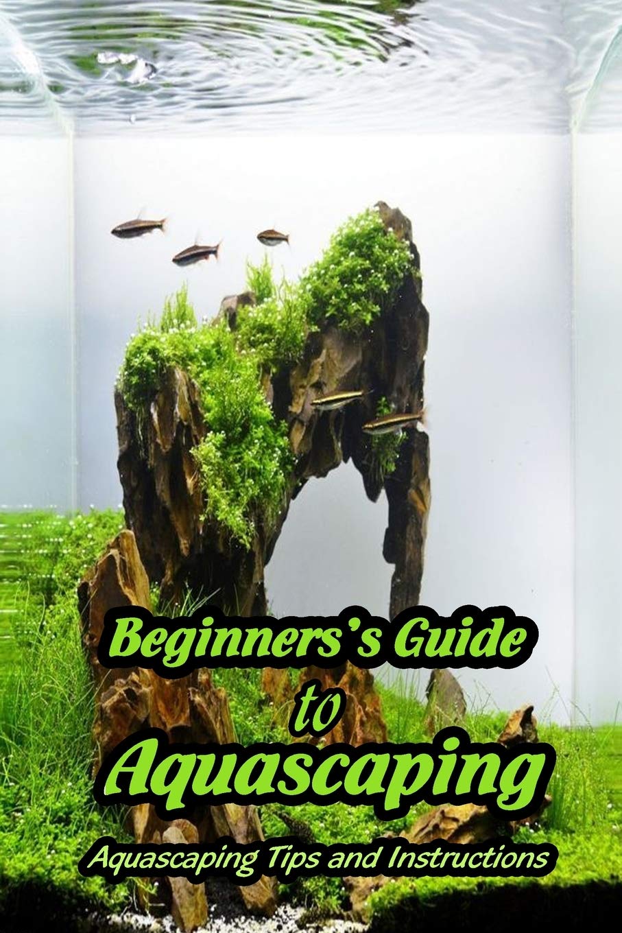 Buy Beginners's Guide to Aquascaping Aquascaping Tips and Instructions