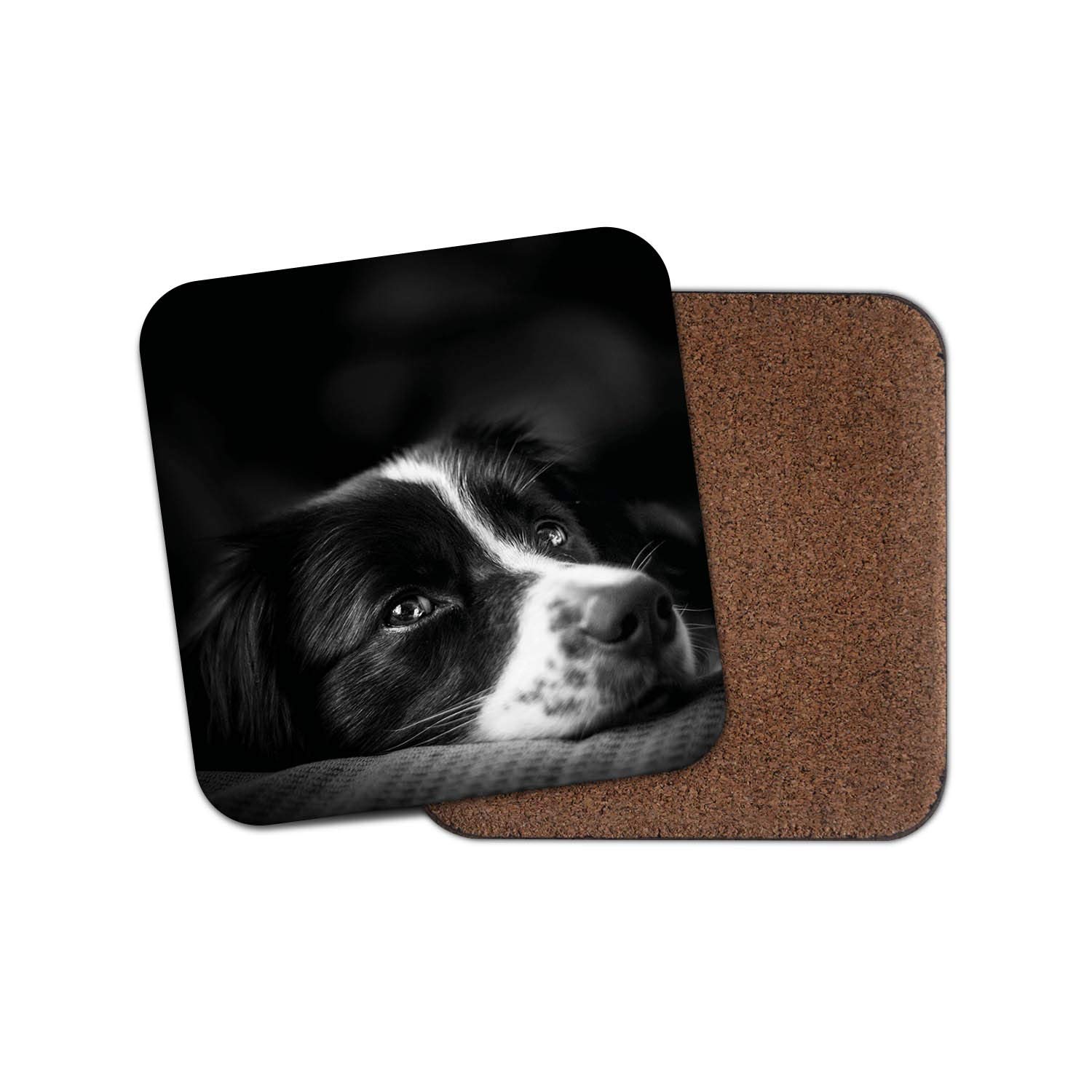 Destinationvinyl Multicolor 1 X Border Collie Drinks Coaster - Puppy Dog Puppies Farm Sheep Fun #8639