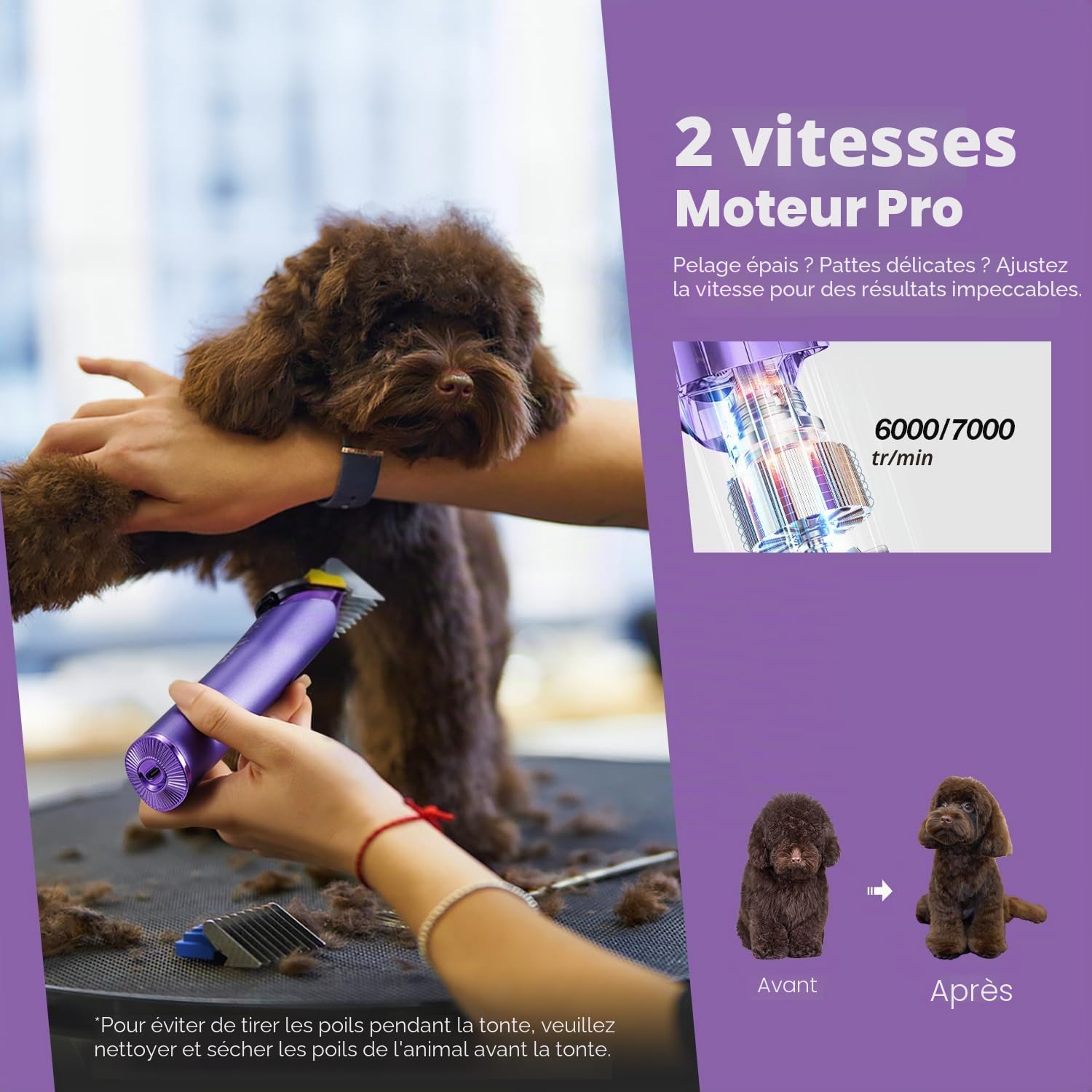 Tondeuse pour chien avec lame de rechange, kit de toilettage sans fil 5 en 1 à lame réglable, tondeuse rechargeable à 2 vitesses avec peignes métalliques amovibles pour animaux et chevaux