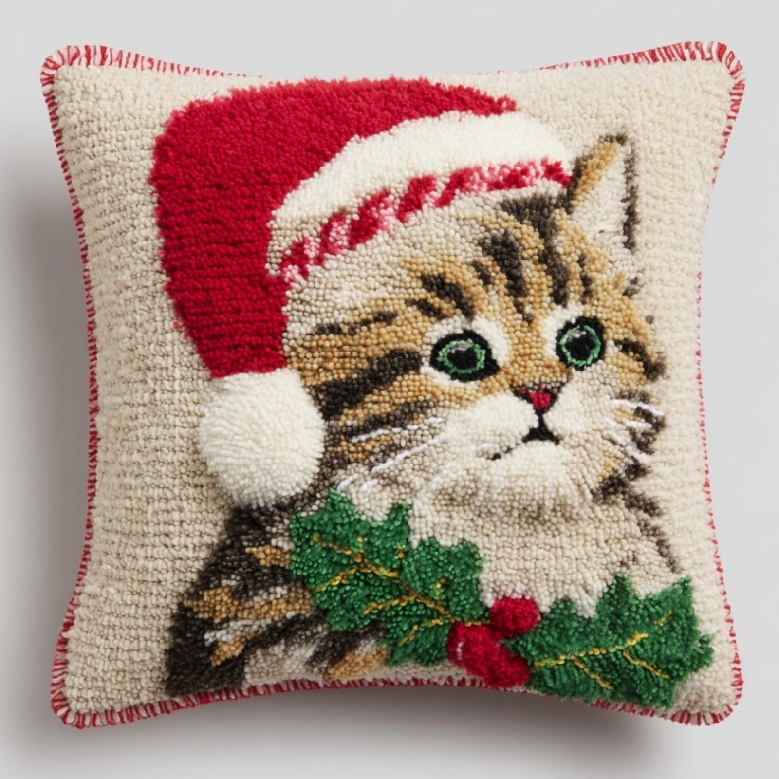 AxiangziK Latch Hook Cushion Kits for Beginners,Christmas Cat