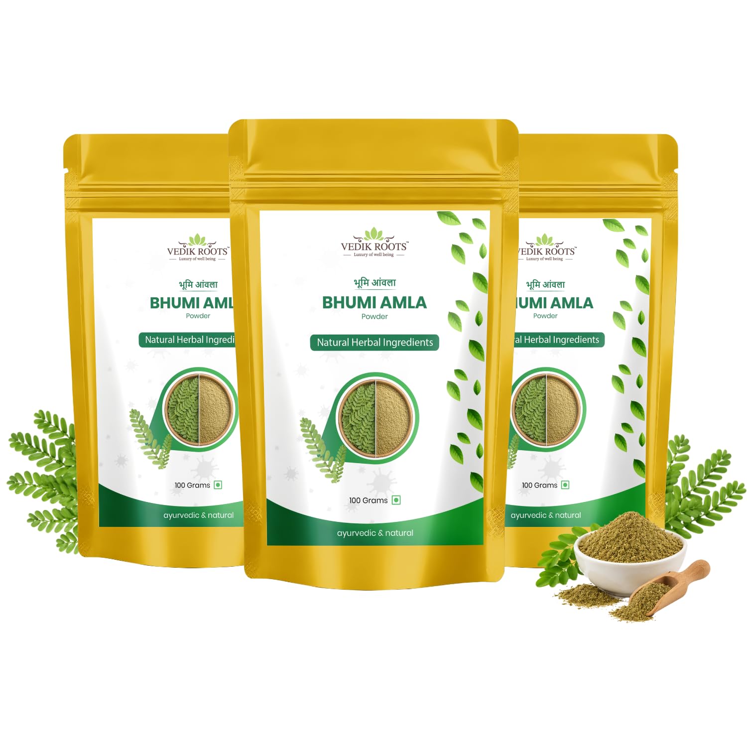 Organic Bhumi Amla Powder - Rich in Antioxidant Vitamin C - Supports Healthy Immune Function 100 Gm (Pack of 2) — Amazon image 10