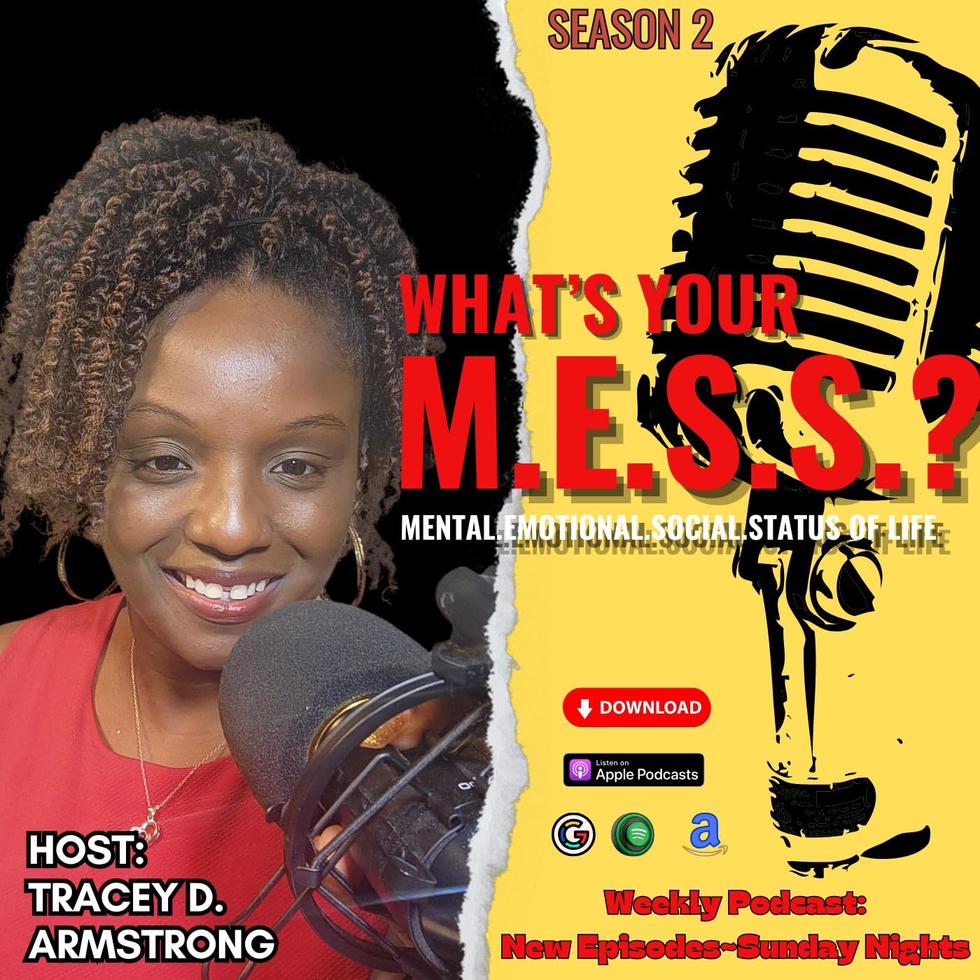 What's Your M.E.S.S.? Mental.Emotional.Social.Status of Life