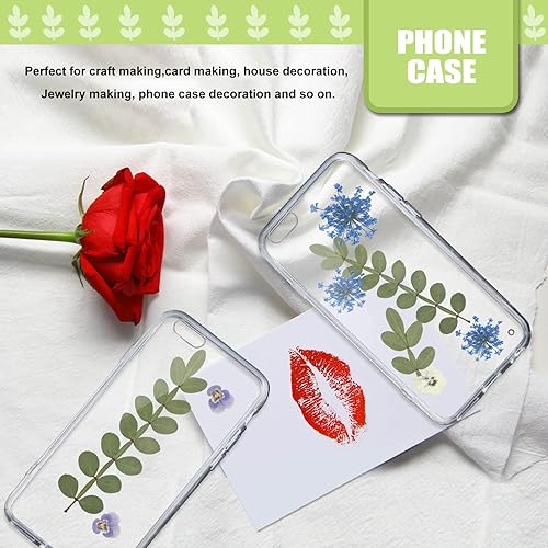 Miniatura 6 de Hojas secas prensadas naturales para resina 42 piezas de hojas espinosas secas reales para arte de resina manualidades álbumes de recortes velas