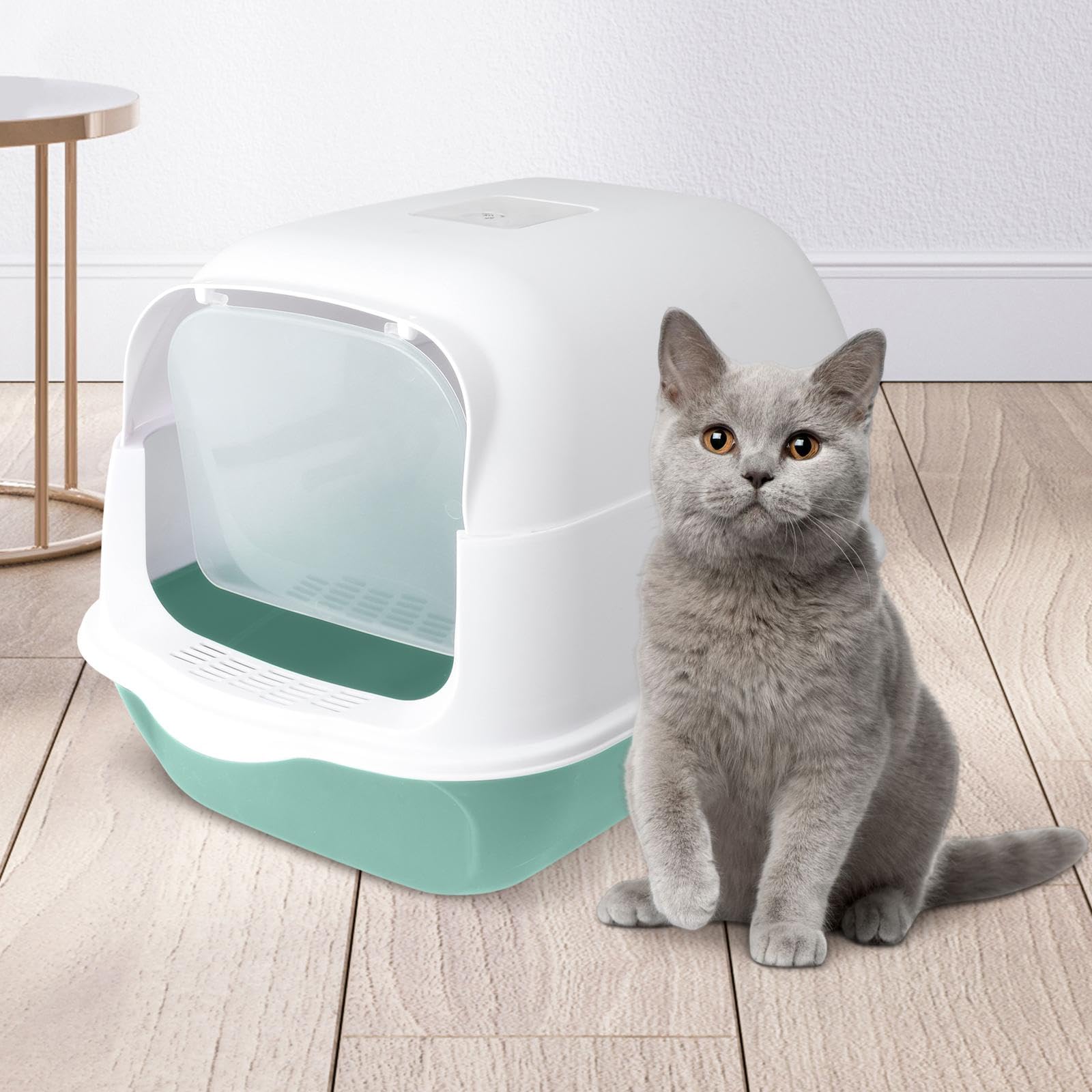 Toilettes Fermées pour Chat, Grand Modèle, avec Porte Avant Anti-éclaboussures et Amovibles, Vert