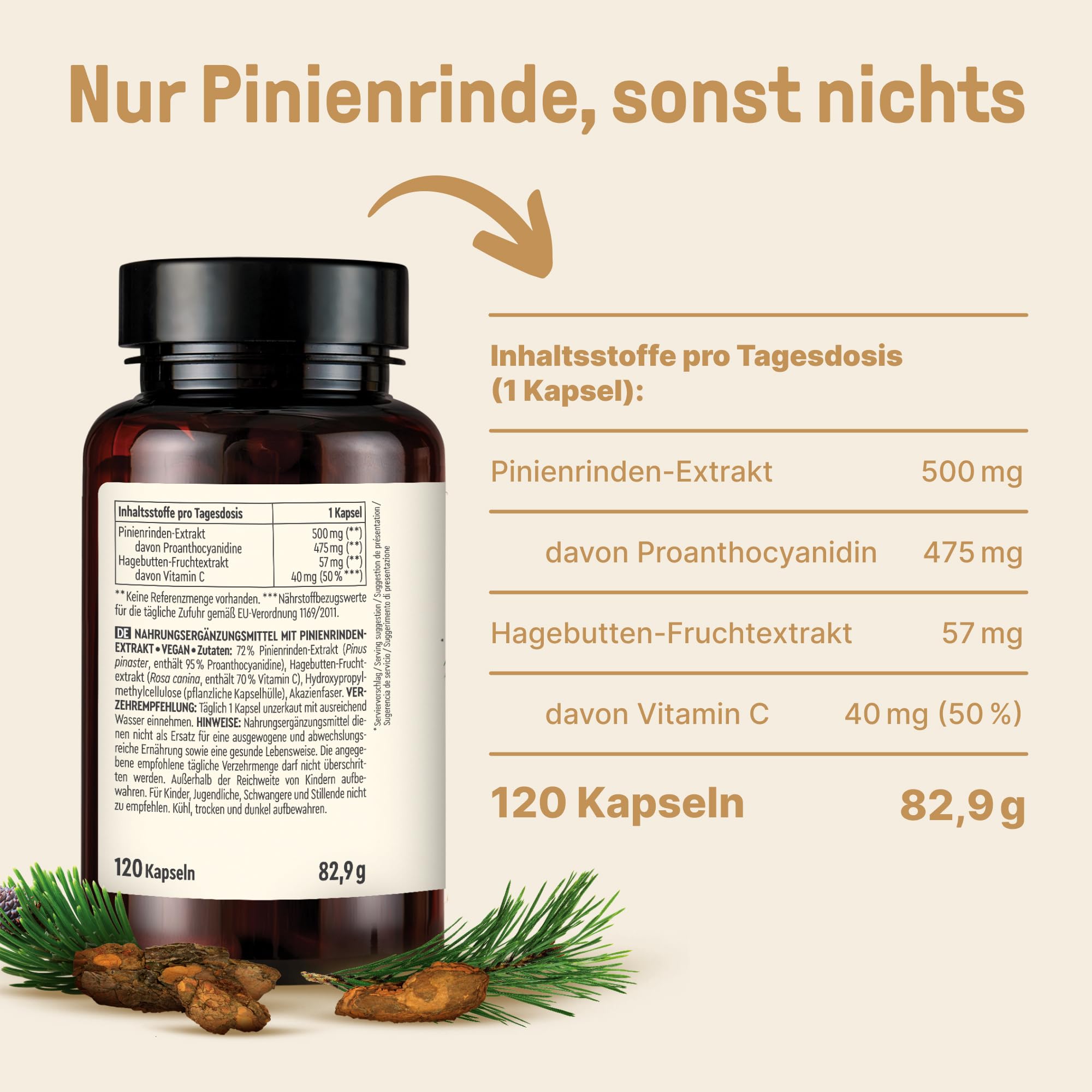 Pinienrinden Extrakt 120 Kapseln - Laborgeprüft nach deutschen Standards, Kiefernrinden Extrakt - Kapseln im Braunglas