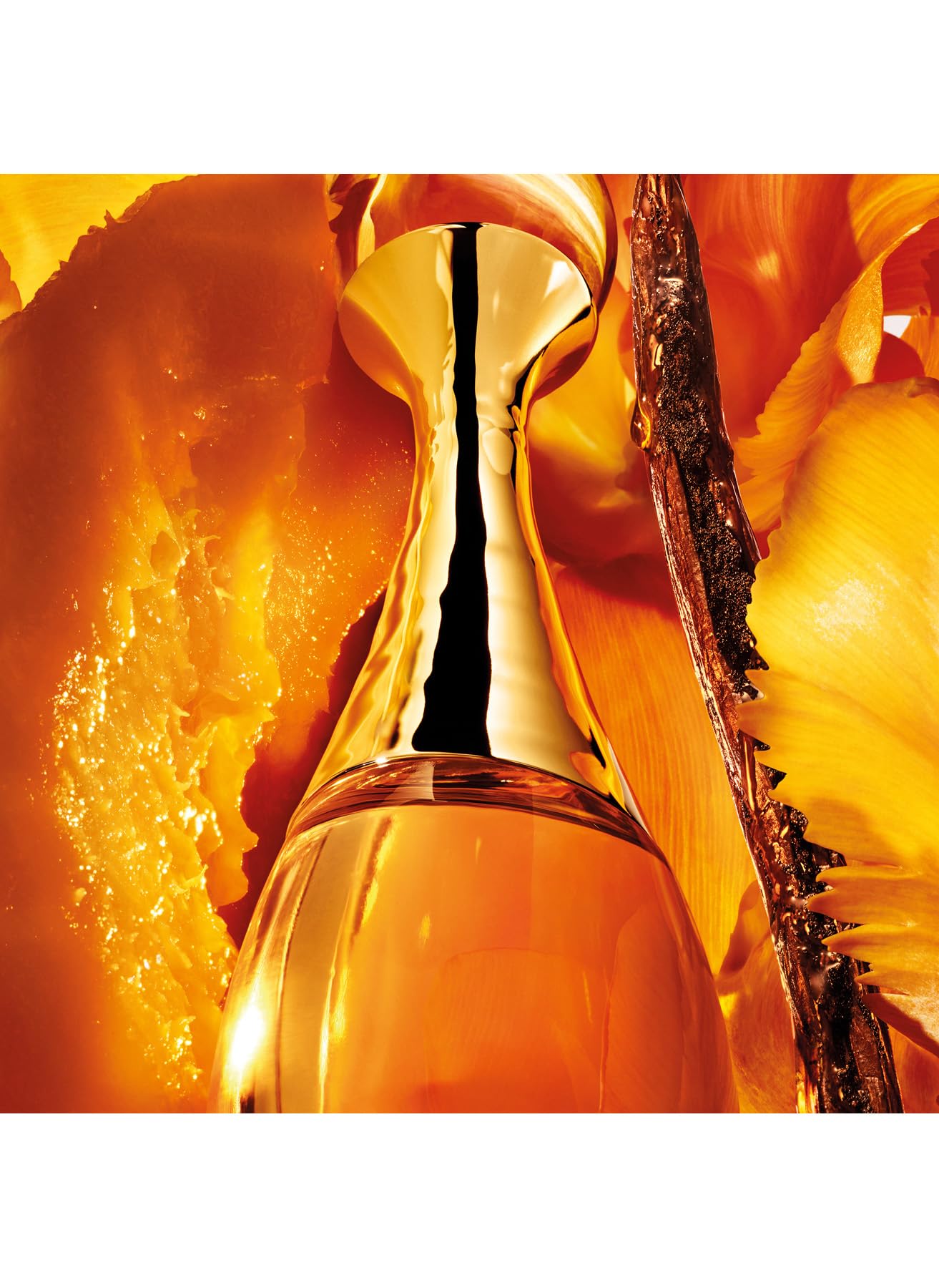 Amazon.com : Jadore LOr by Christian Dior for Women - 2.7 oz EDP