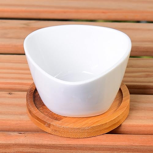 Miniatura 6 de Succluent Macetas, macetas pequeñas con drenaje, macetas de cerámica con bandeja de bambú para cactus (paquete de 12)