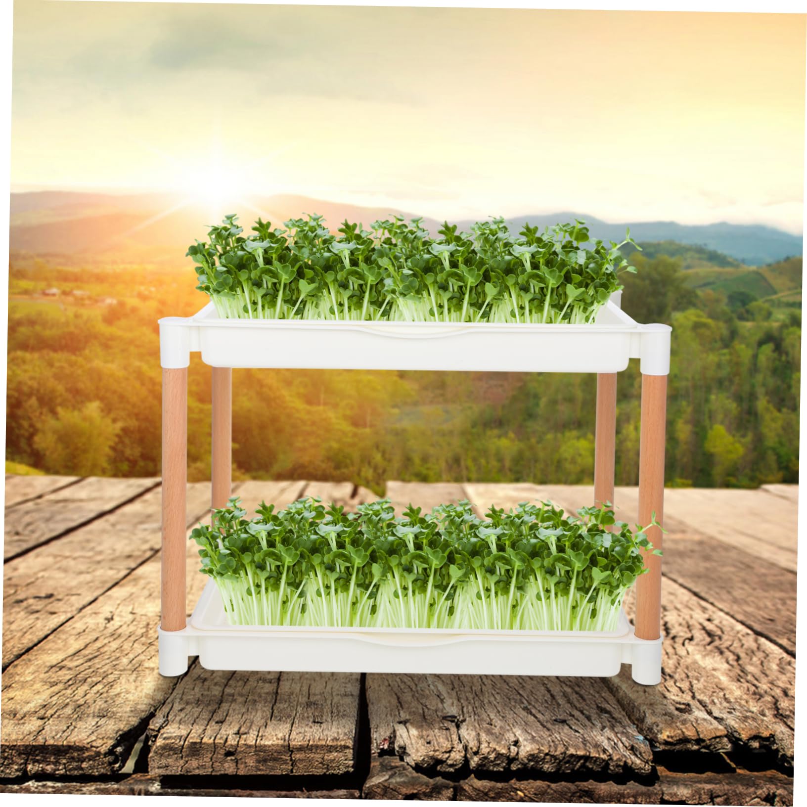 Milisten Vassoio per Coltivazione di Microgreens Doppio Strato Rete Vassoio di Avviamento per Vivaio in Pp Starter per Fagioli di
