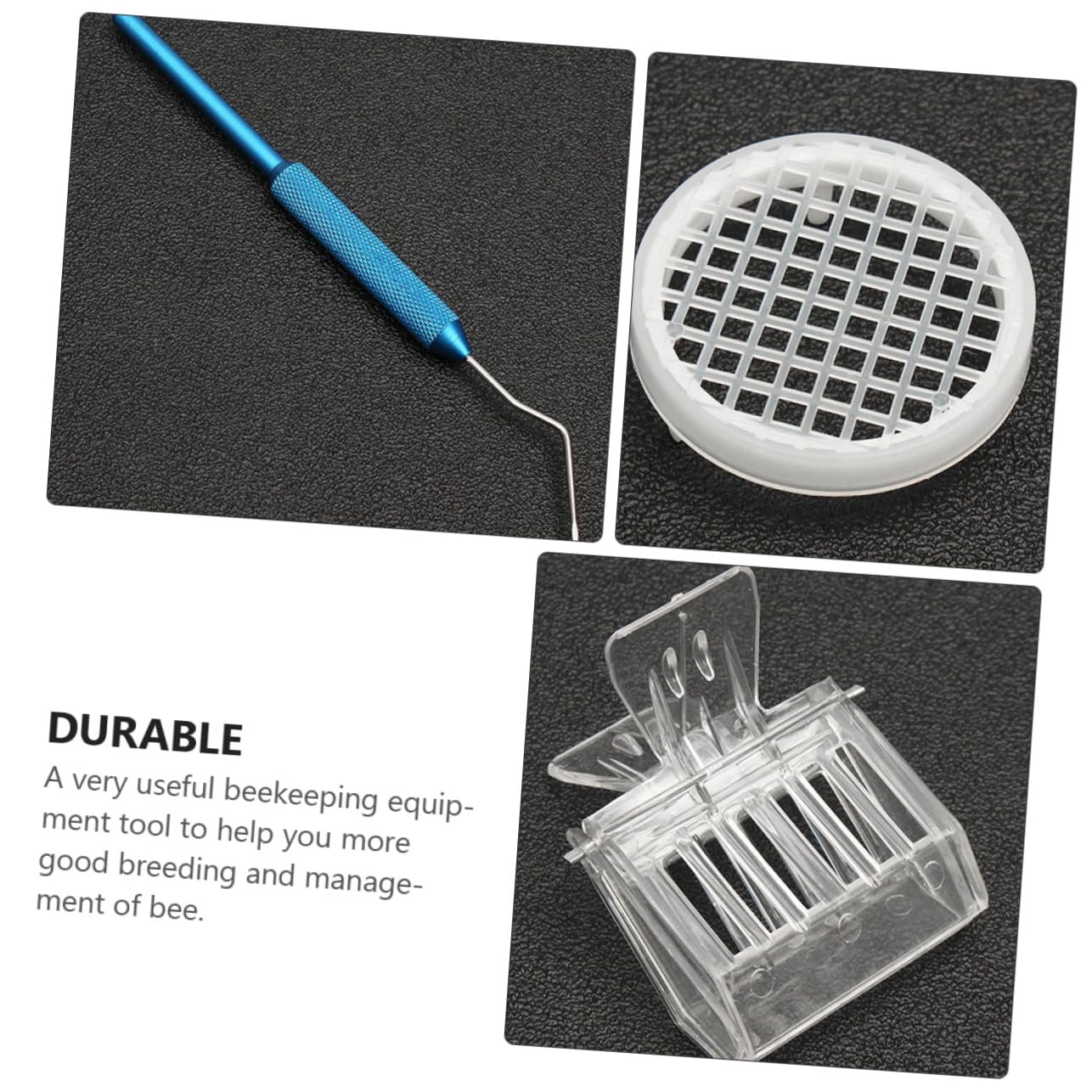 Kit di Allevamento delle Regine in Abs, Box per Apicoltura | Gestione Allevamento, Leggero e Pratico, Accessori per Attività di Impollinazione e Cura Api Colore Casuale