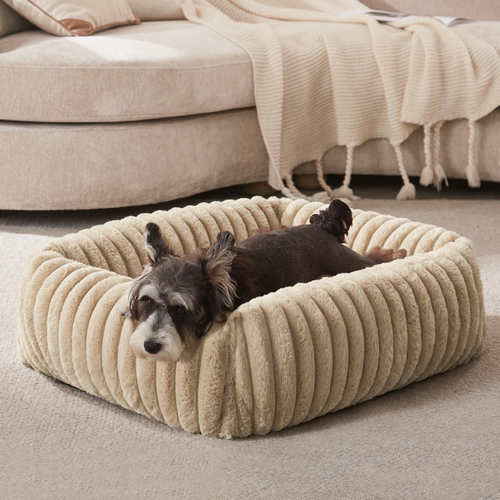 FURTIME Orthopedic Small Dog Bed