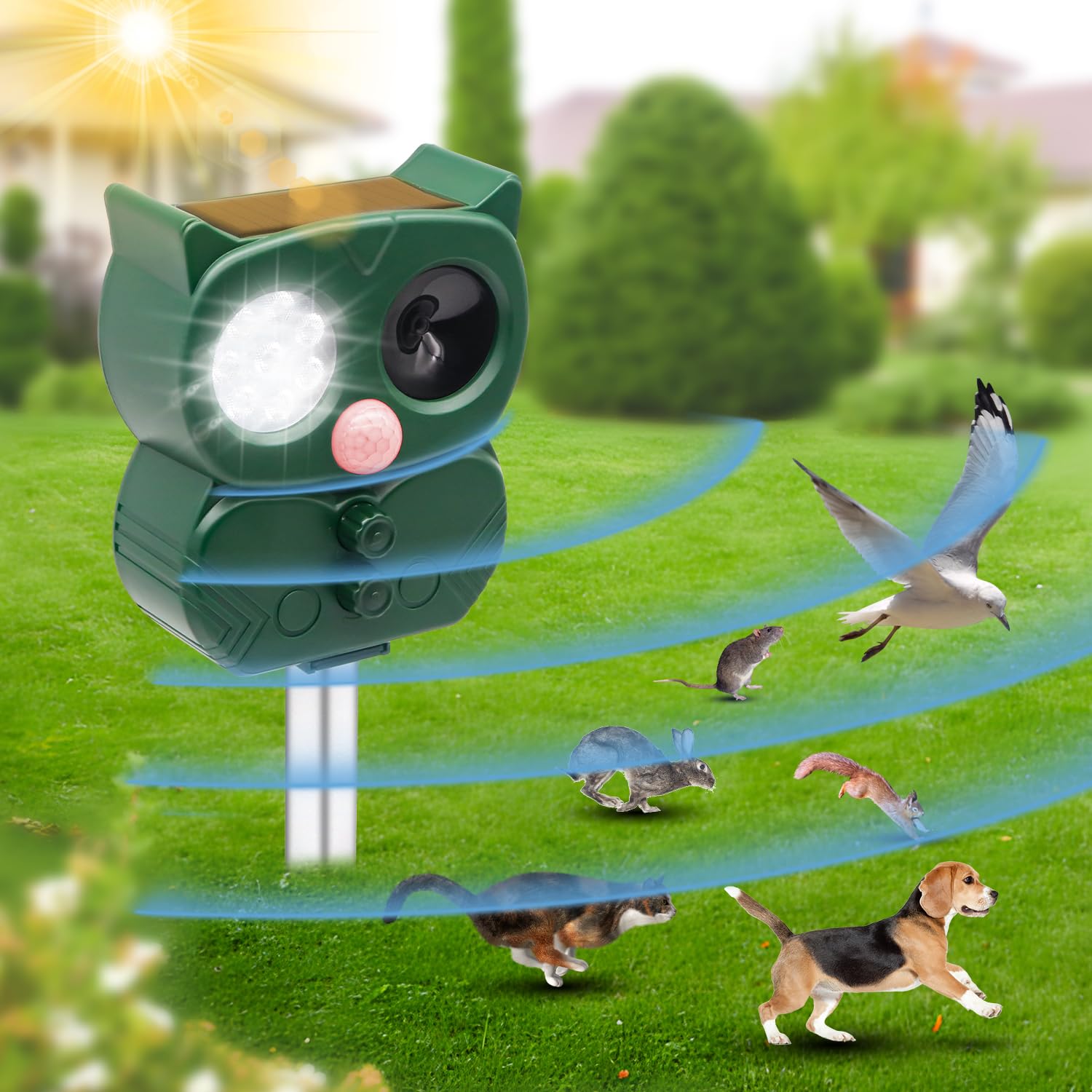 répulsif chat extérieur 5 modes