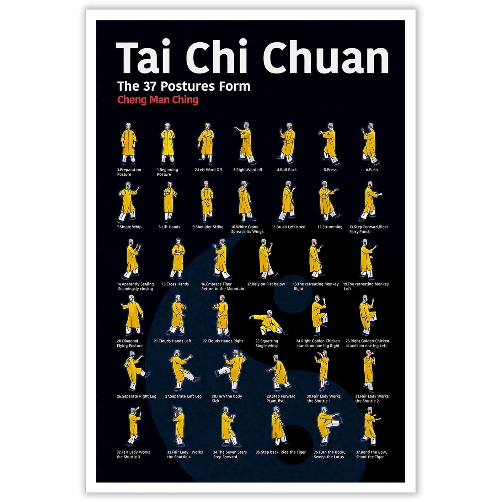 Tai Chi Walking Workout for Women Poster Balance & Mindful Movement Exercise Chart(8x12inchs，Unframed) — view 21