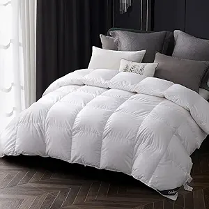 Globon Goose Down Comforter Queen Size, 800 Fill Power All Seasons Luxury Duvet Insert, Soft 420 Thread Count Noiseless Shell, Medium Weight with 8 Corner Tabs,White