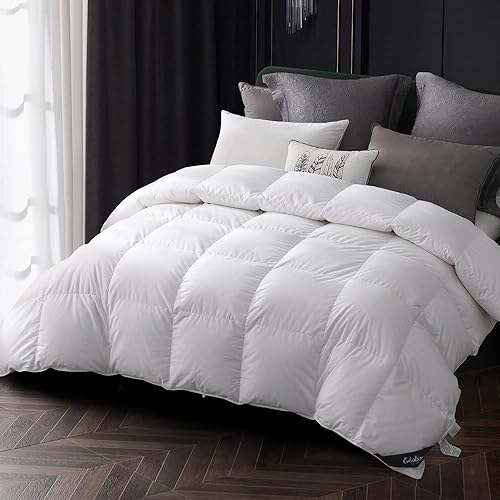 Globon Goose Down Comforter Queen Size All Season Down Duvet Insert,400 Thread Count Ultra Soft Noiseless Shell,800 Fill Power with Corner Tabs,White