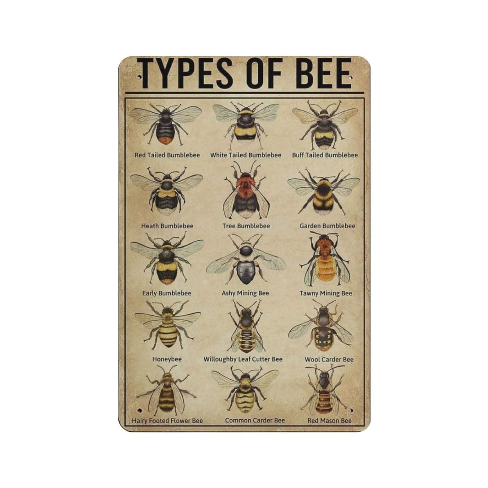 AOOEDM Types of Bee Vintage Tin Sign Metal Tin Signs for Man Cave Funny Art Wall Plaque Kitchen Bar Pub Coffee Shop Wall Decor