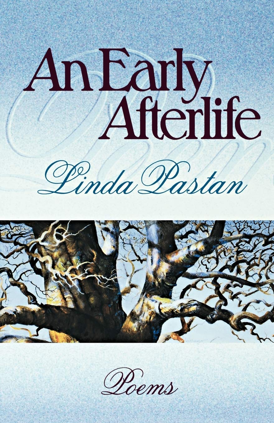 An Early Afterlife: Poems (Norton Paperback)