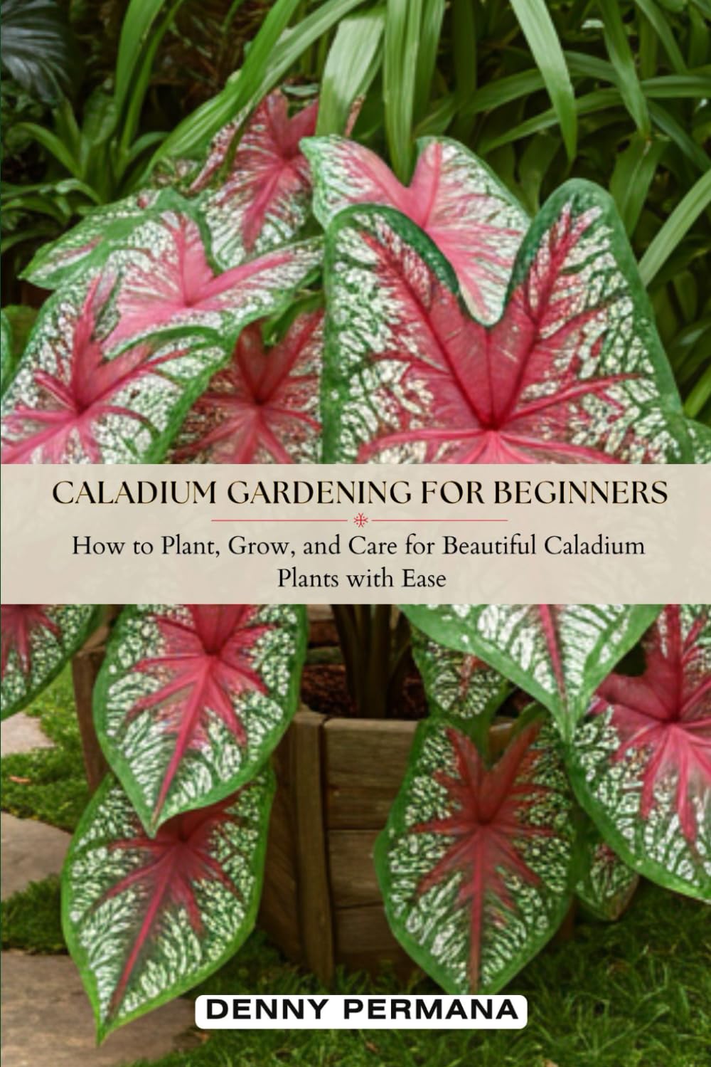 Caladium Gardening for Beginners: How to Plant, Grow, and Care for Beautiful Caladium Plants with Ease