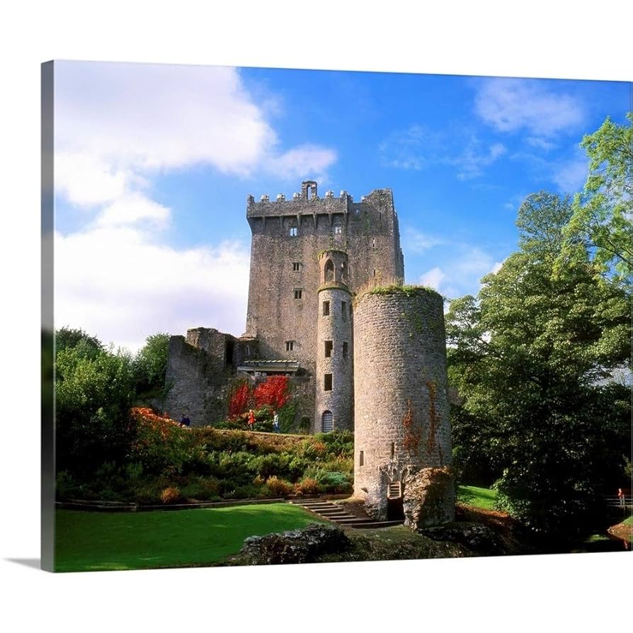 Amazon.co.jp: The Irishイメージコレクションプレミアムシック