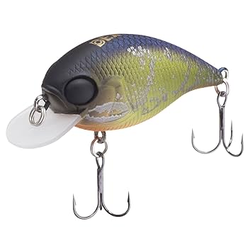 【 美品 秘密の クランクベイト】 バス釣りの本 ビンテージ 秘密のクランクベイト: U.S.A.プロト-ナメント発!釣るための