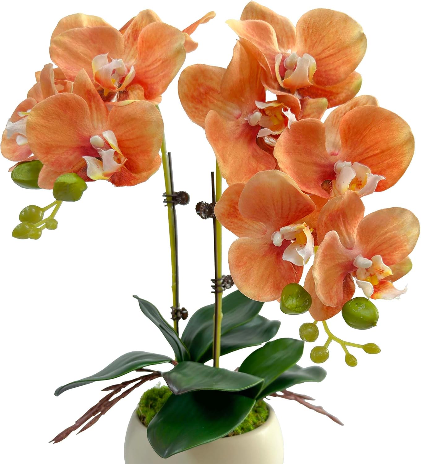 Realistic Artificial Phalaenopsis Orchid, 2 Stems Orchid Flower Stems (17") + 2 Rooted Leaves (6.5"), Fake Flowers with No Maintenance Silk Flower for Home Office Decoration