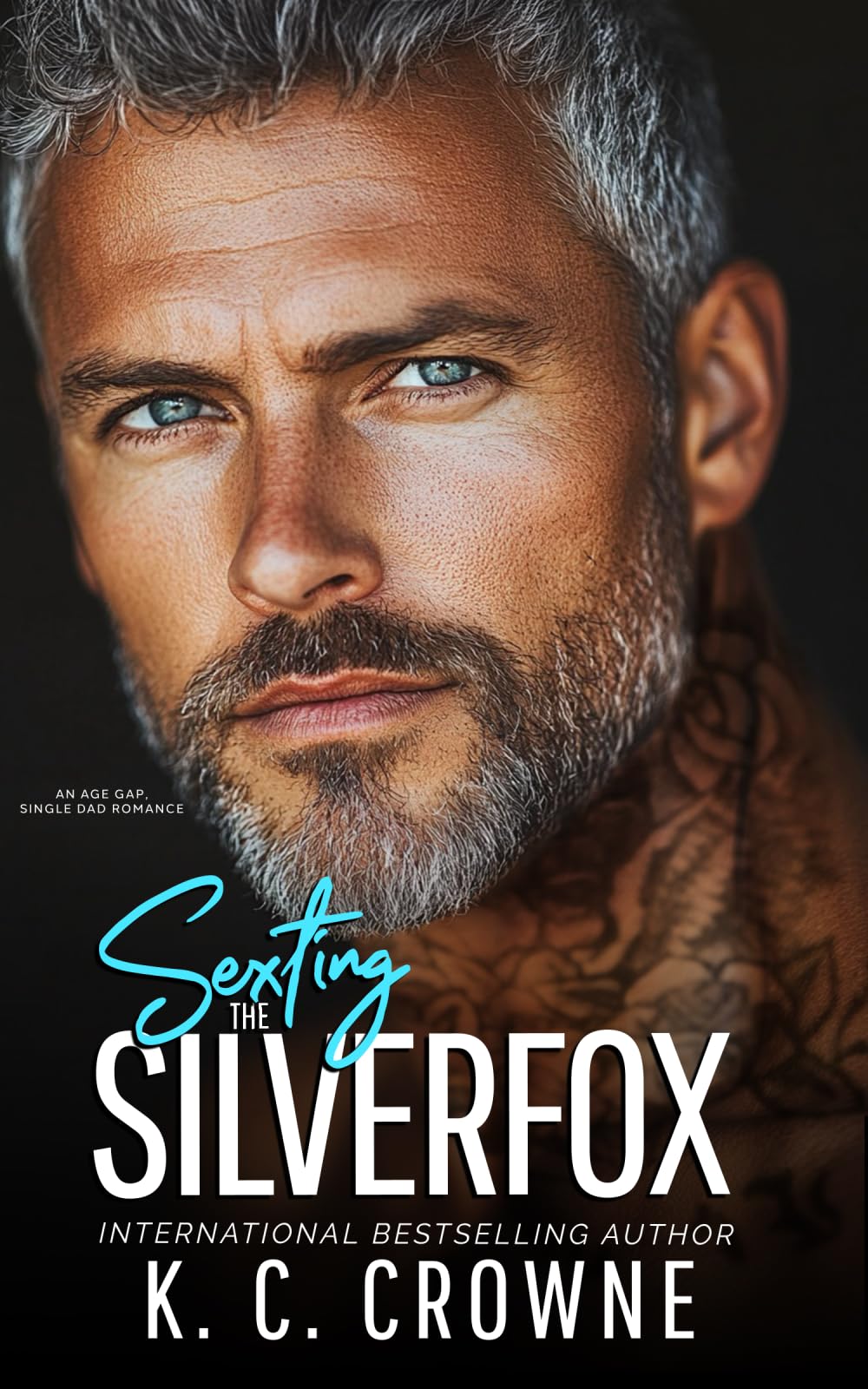 Sexting the Silverfox: An Age Gap, Single Dad Romance (Silver Fox Daddies) Paperback – August 24, 2024