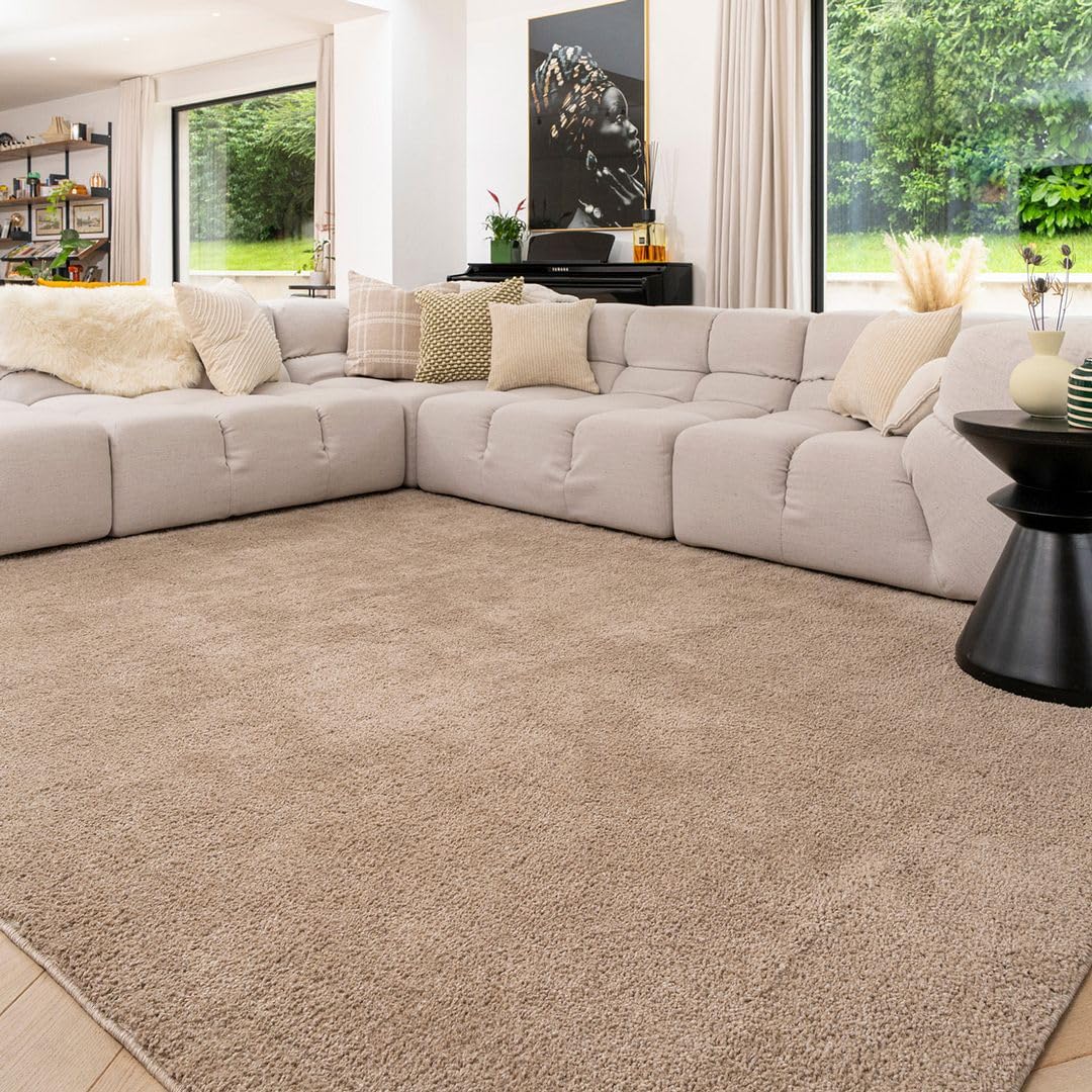 Brown Beige Machine Washable Warm Insulating Soft Cosy Touch Plush Thick Shaggy Rug for Bedroom Livingroom Hallway 80cm x 150cm (2ft 7" x 4ft 11")